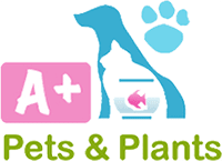 A+ Pets & Plants